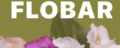 FloBar