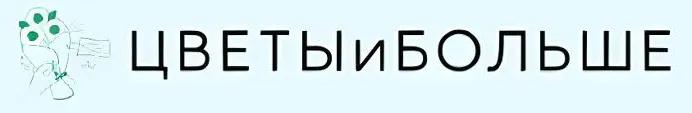 Цветы и Больше